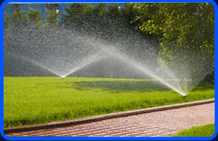 Weed Control | Port Chester, NY | Capocci Landscaping LLC | 914-939-5876