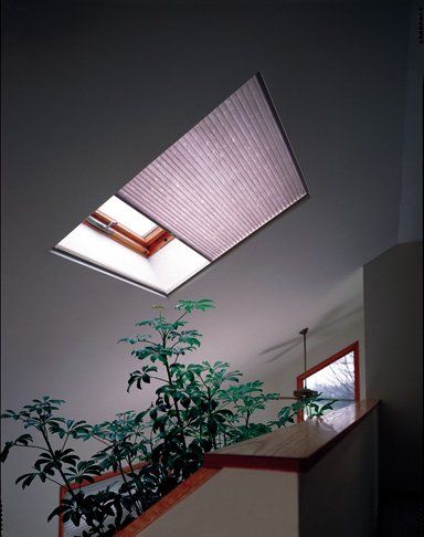 Cellular Skylight
