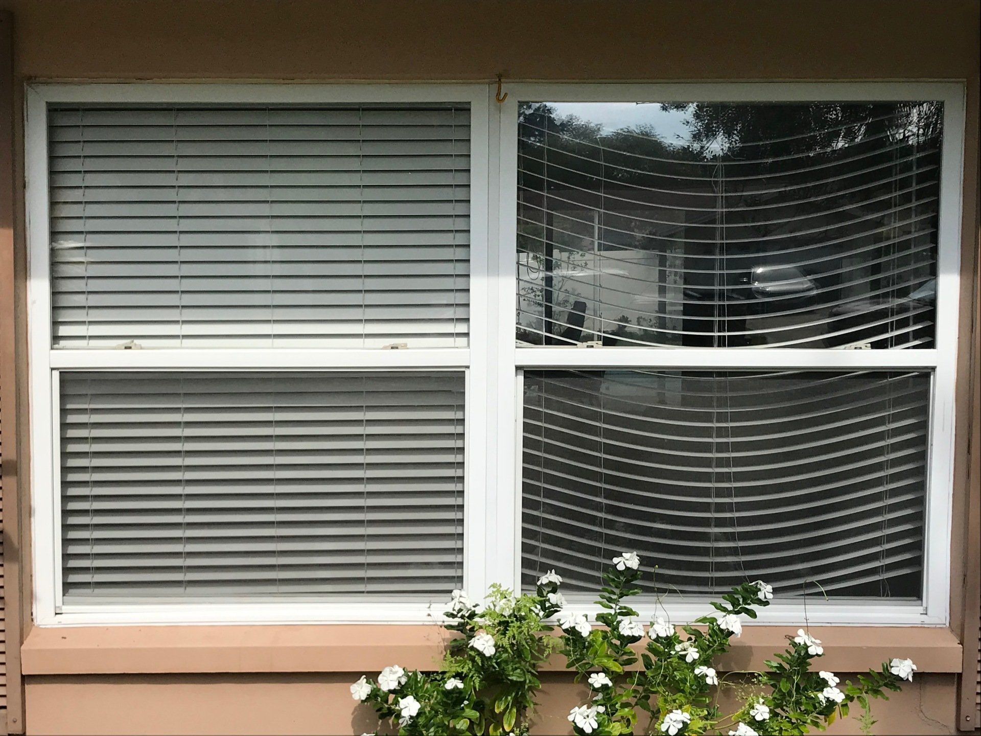 Direct Discount Blinds and Shutters Gallery | Lutz, FL