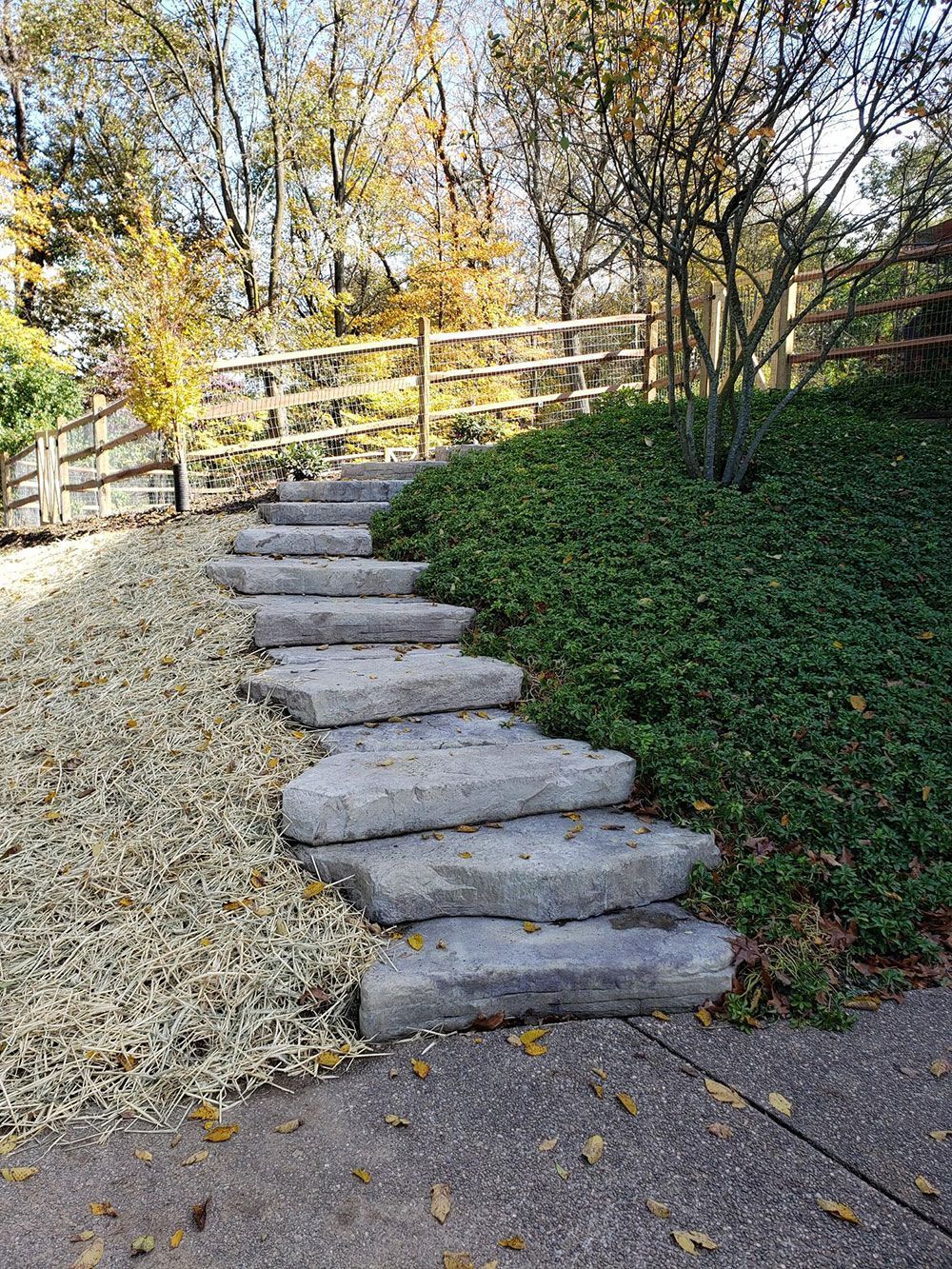 Stone steps leading uphill through a yard, next to gravel and groundcover. A wooden fence is in the background.