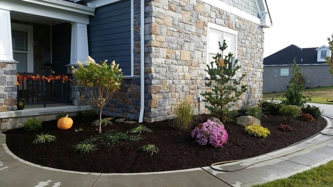 Front yard landscaping with stone facade, various plants, and dark brown mulch.