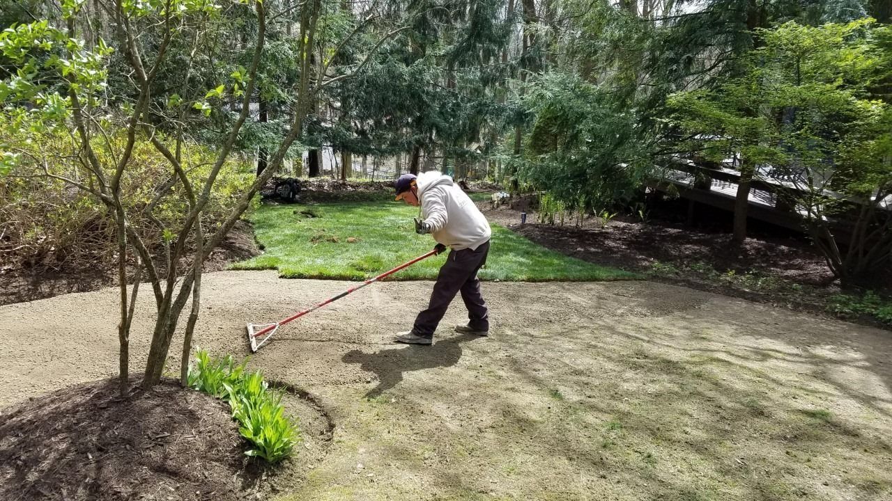 Person raking a yard in front of freshly laid sod and trees.