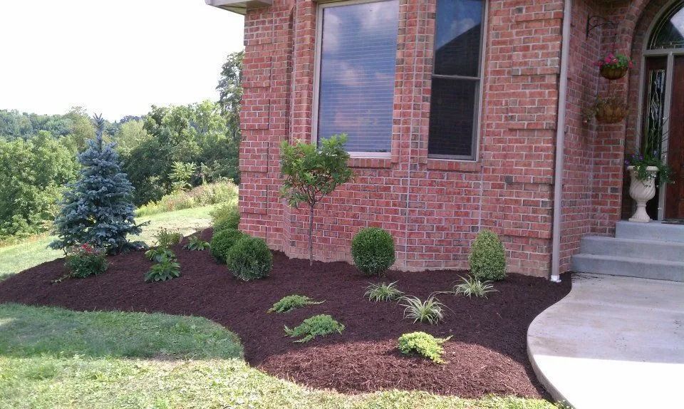 Red brick house with a landscaped front yard, mulch, and various green plants.