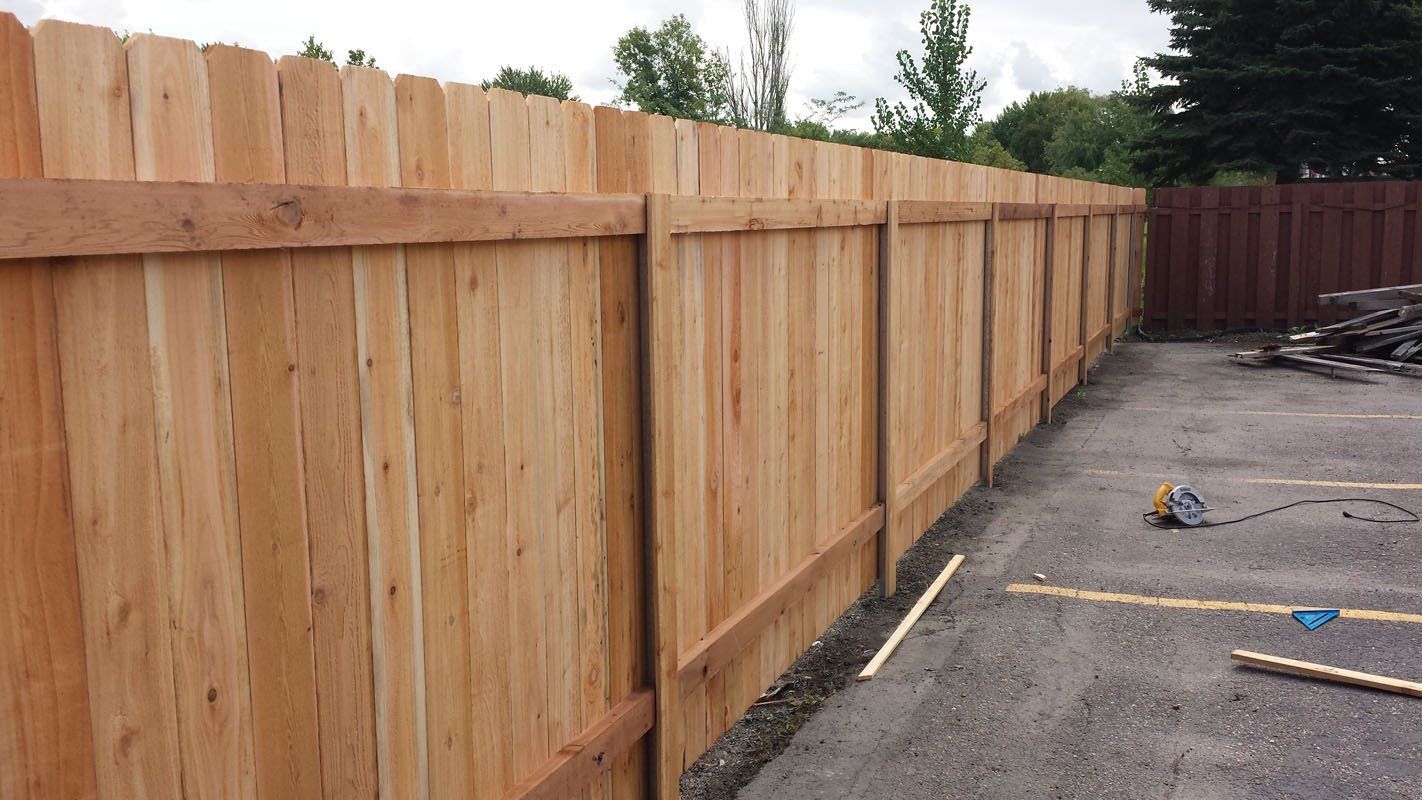 Cedar Fence
