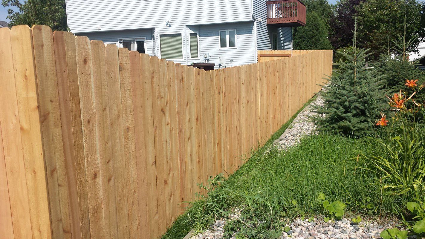 Cedar Fence