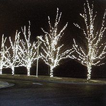 Tree-lighting
