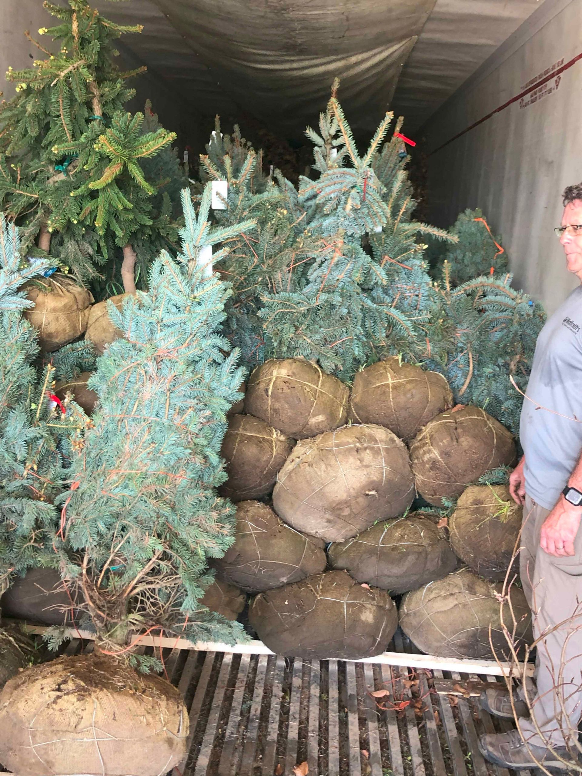 A man is standing next to a pile of rocks and trees.