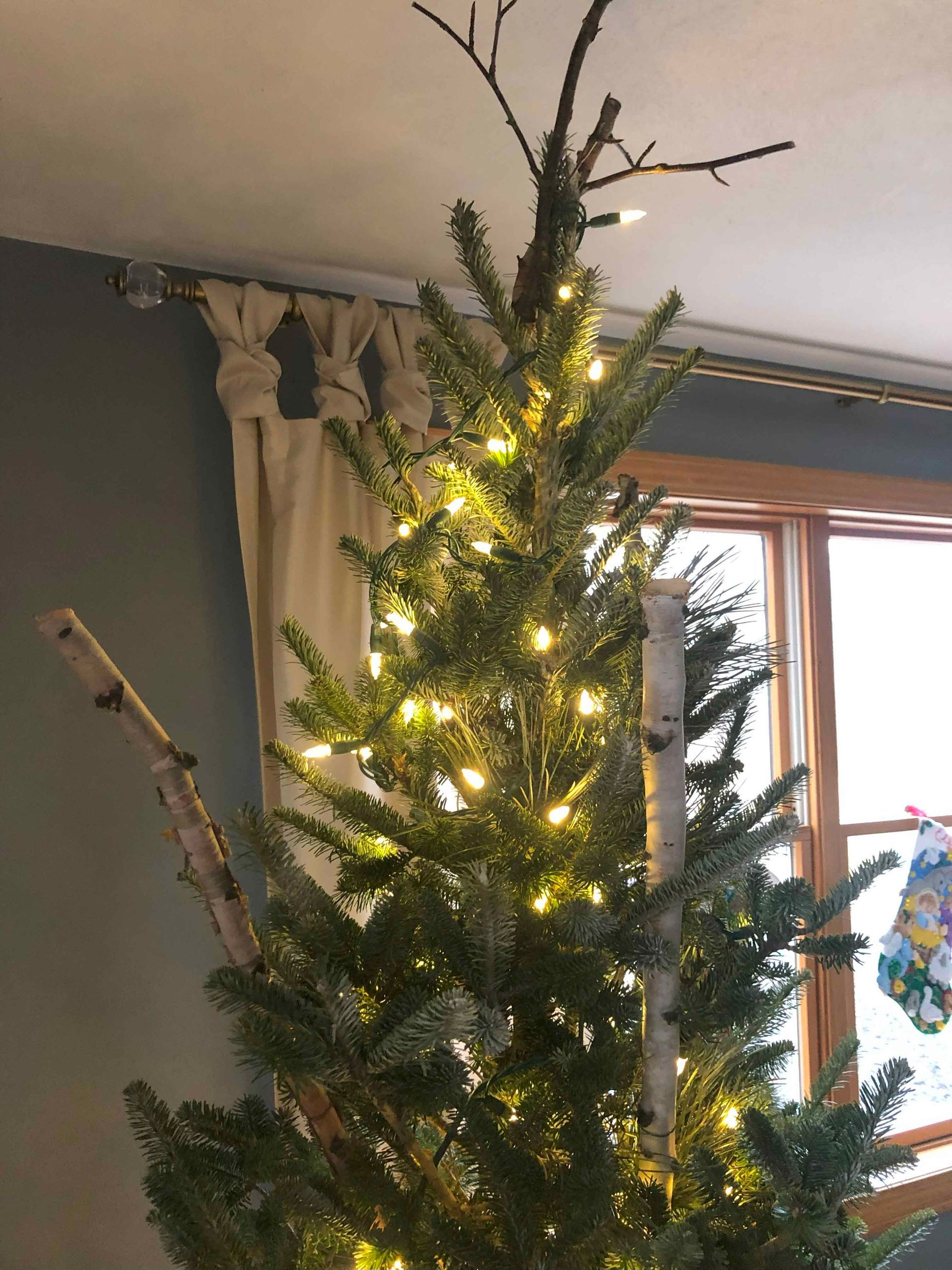 A christmas tree with lights on it in front of a window