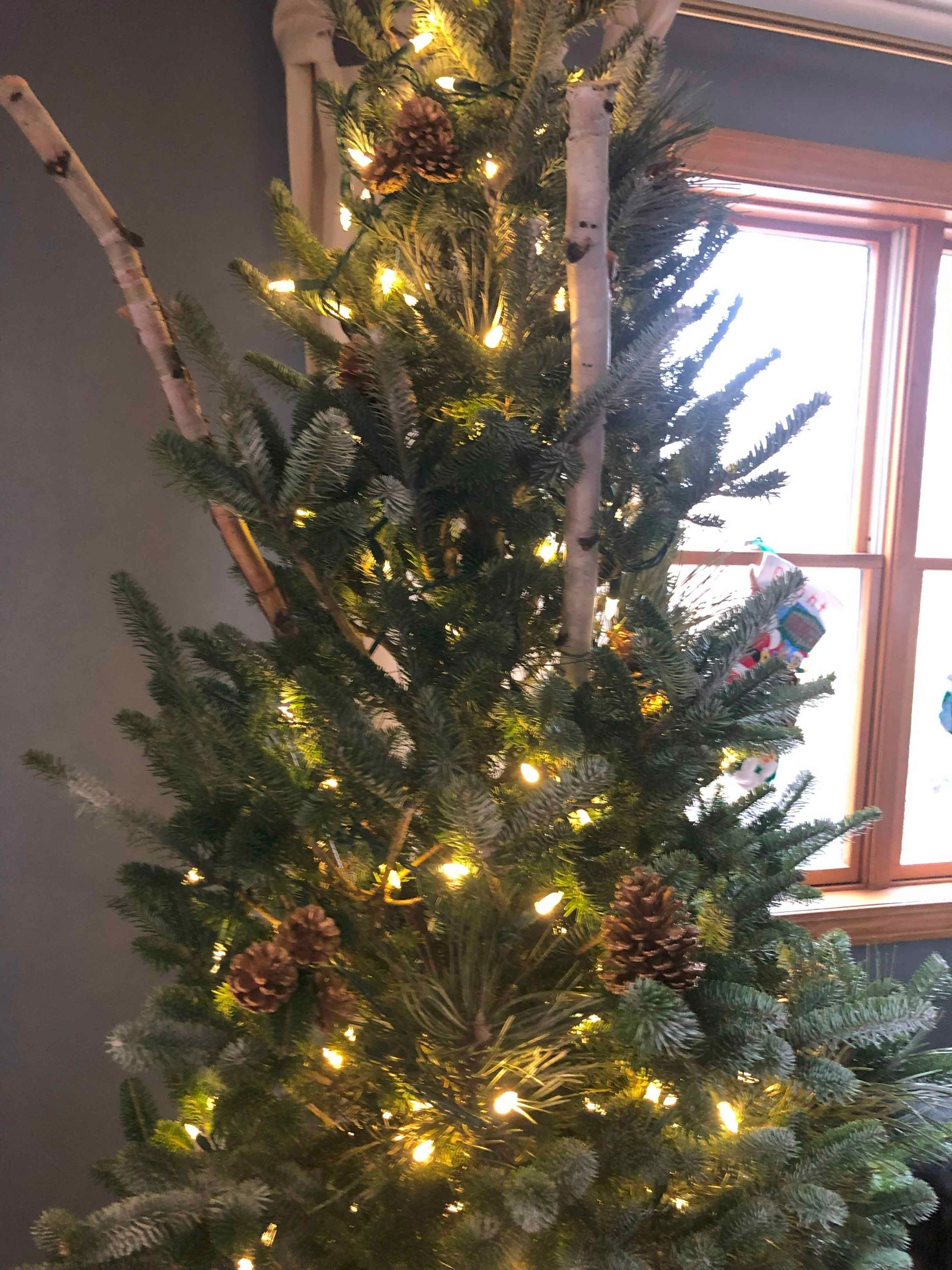 A christmas tree is sitting in front of a window in a room.