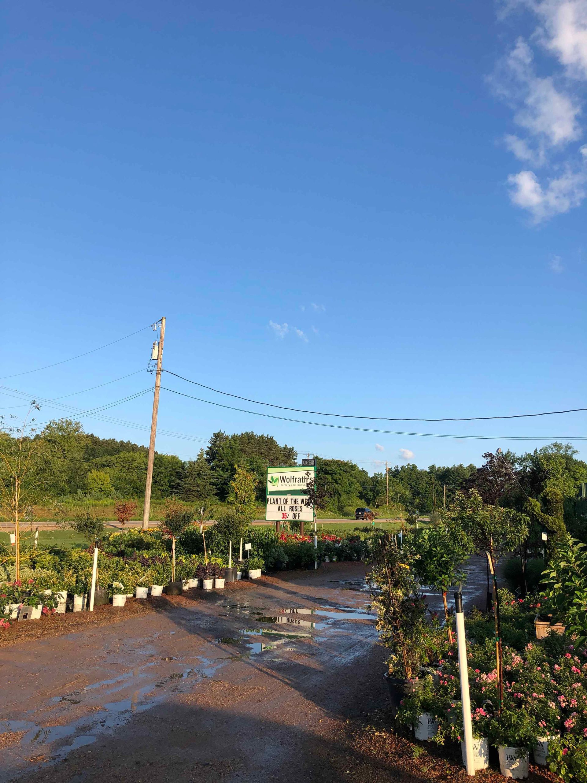 A dirt road with a lot of potted plants on the side of it.