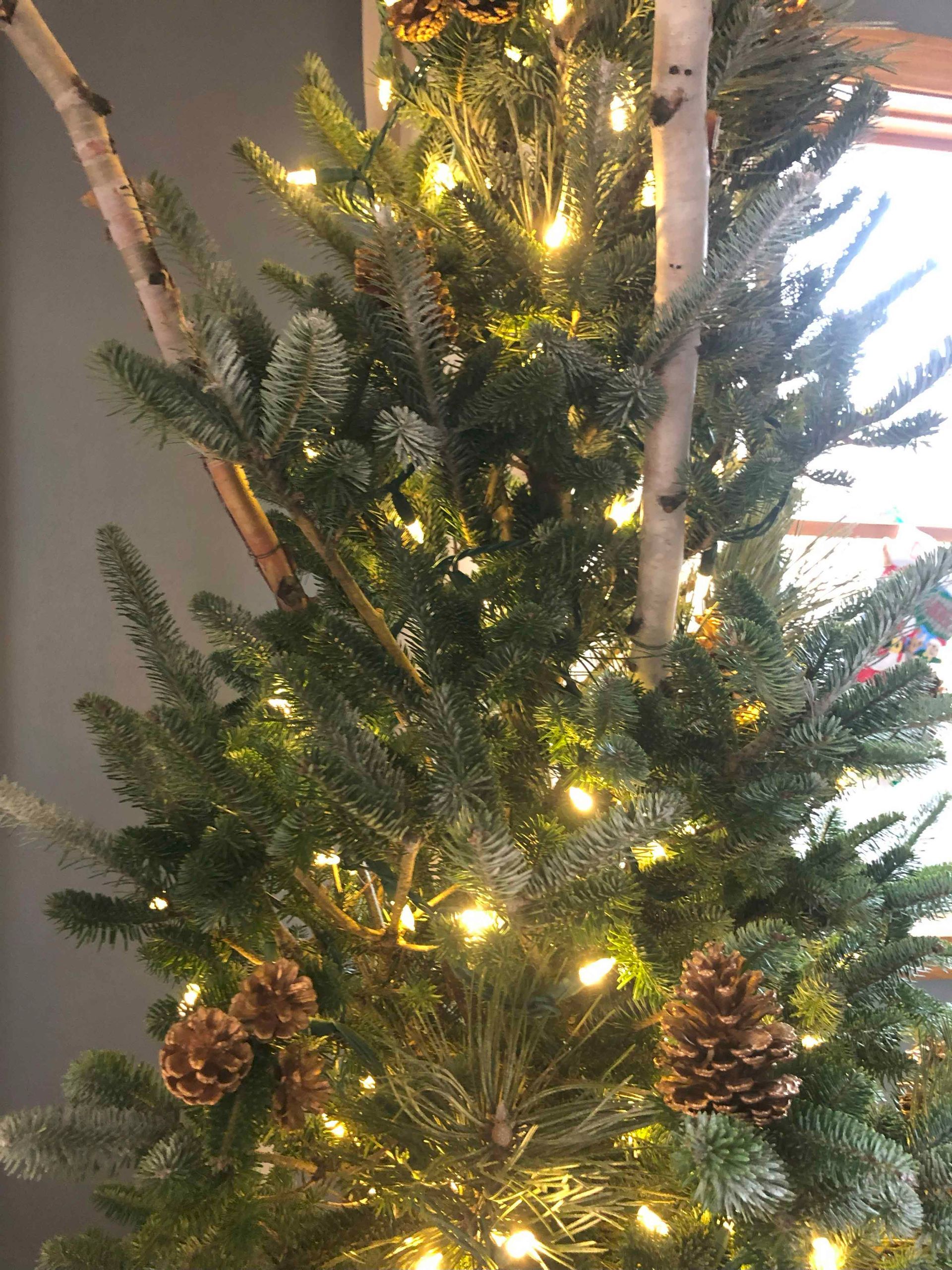 A close up of a christmas tree with pine cones and lights.