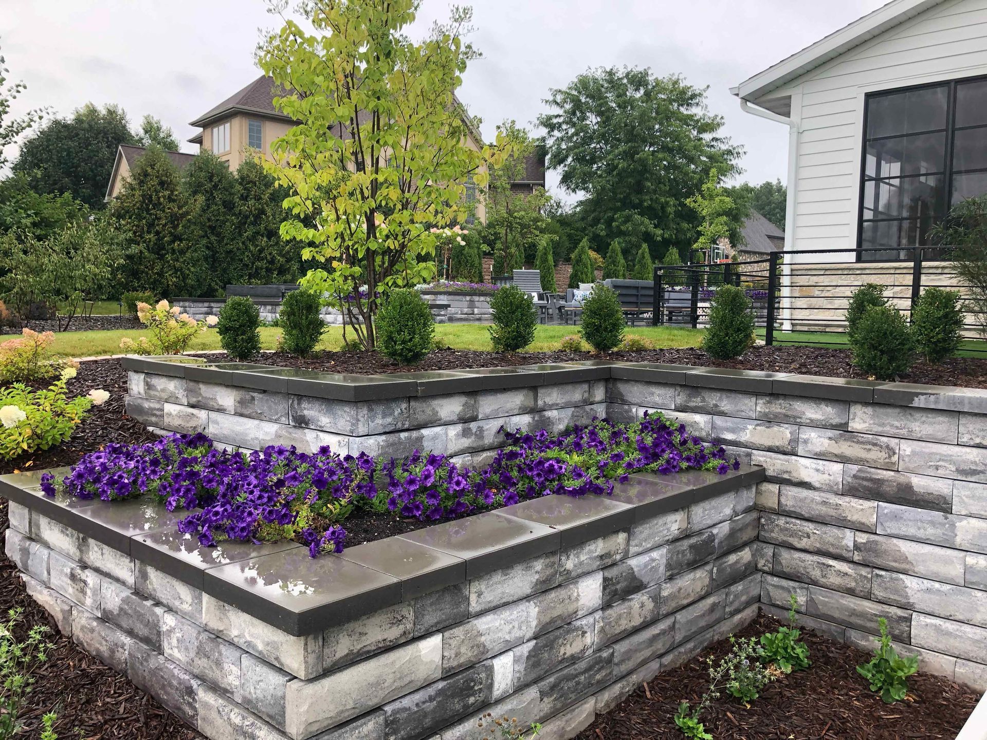 A brick wall with purple flowers in it in front of a house.