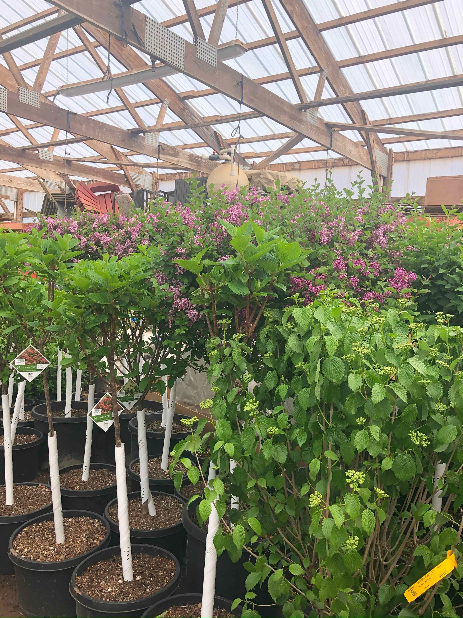 A greenhouse filled with lots of potted plants and flowers.