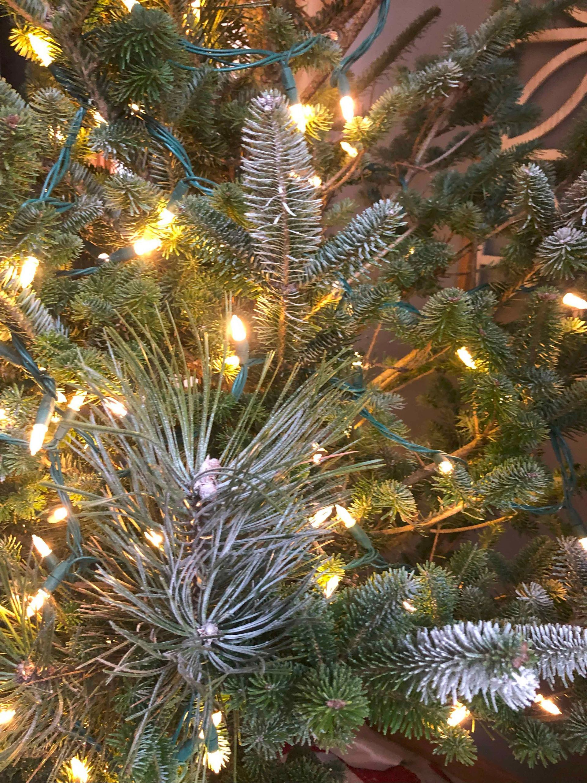 A close up of a christmas tree with lights and decorations.