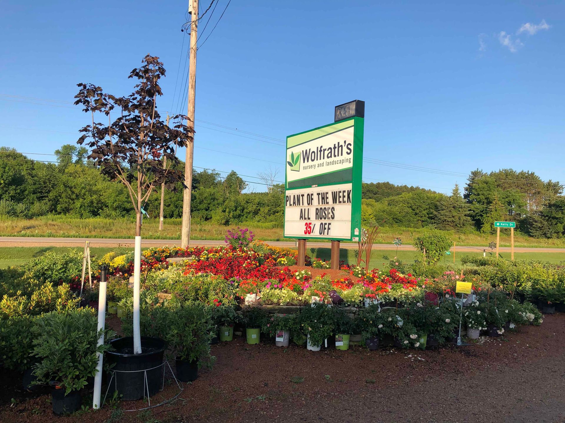 A sign for a garden center is surrounded by potted plants and trees.