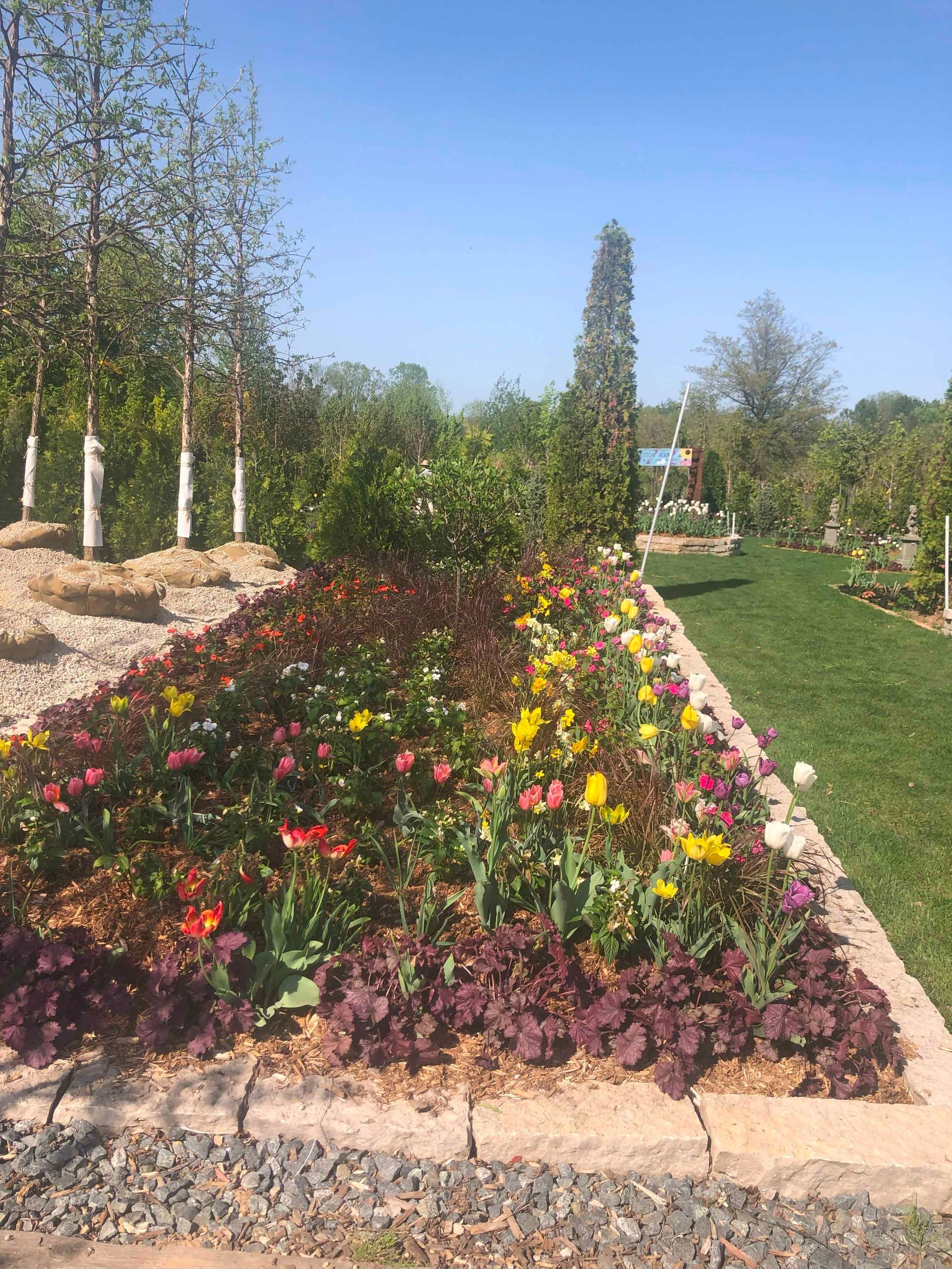 A garden filled with lots of flowers and trees on a sunny day.