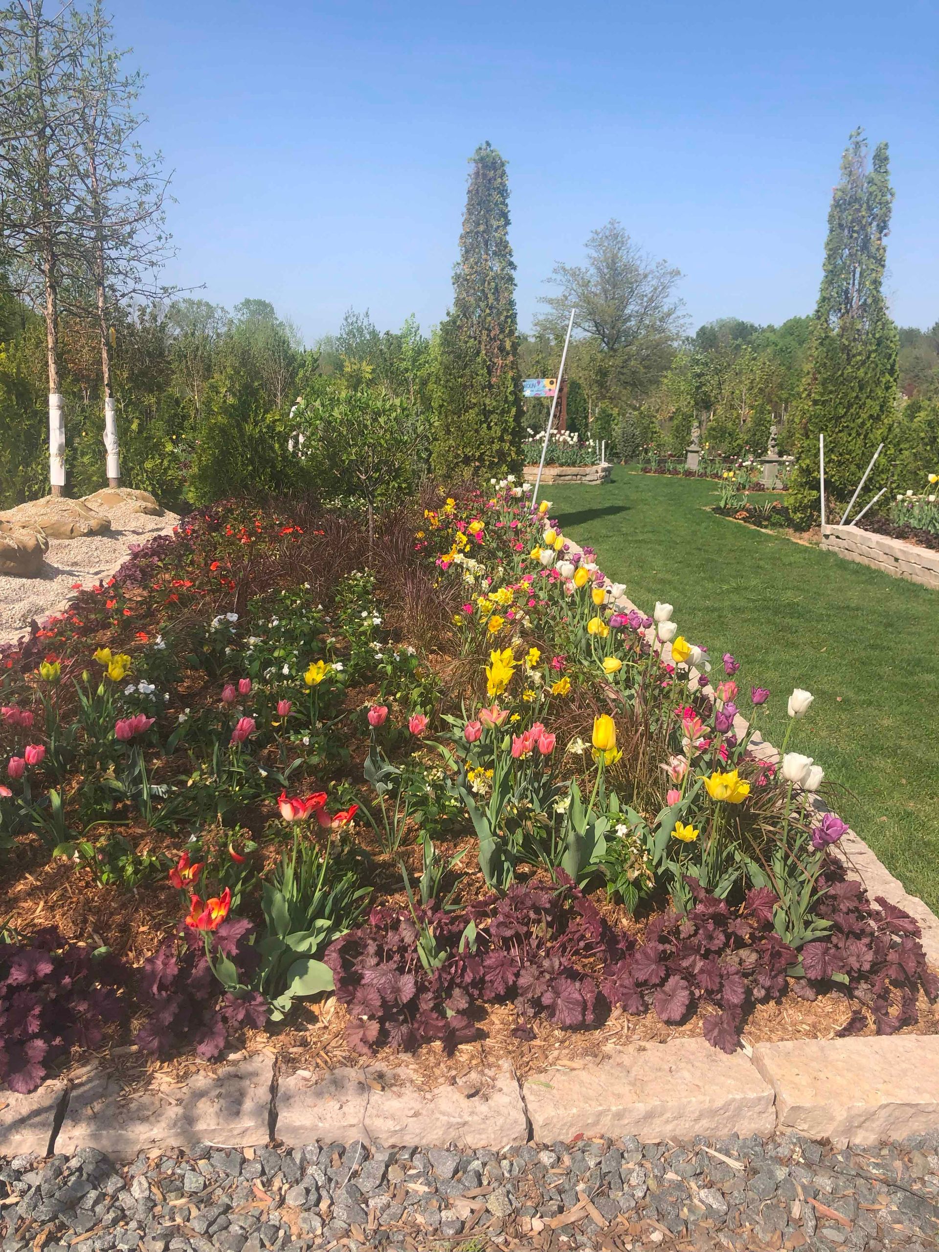 There are many different types of flowers in the garden.