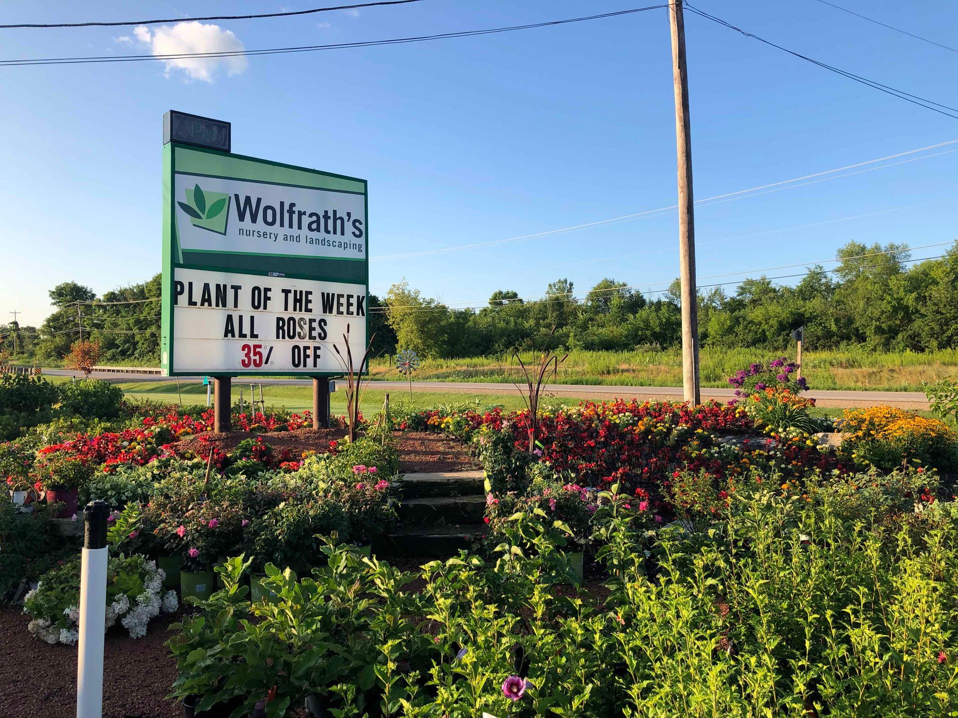 A sign for wolfrath 's plant of the week