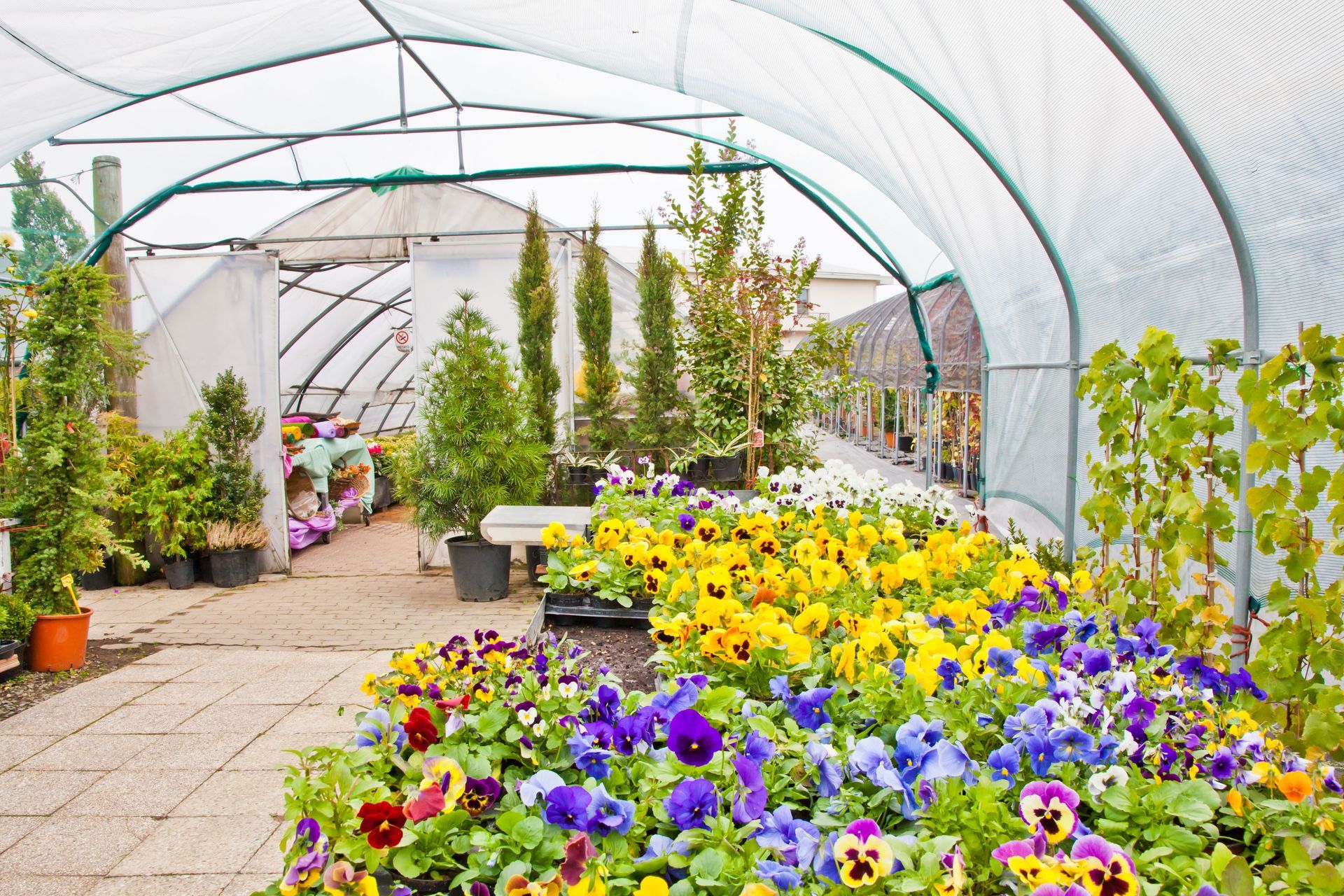 tree nursery