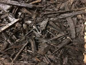 A pile of black mulch is sitting on top of a wooden table.