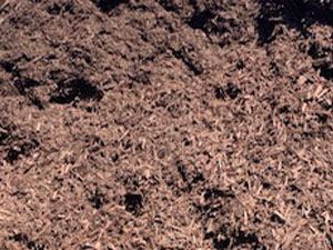 A close up of a pile of wood chips on the ground.