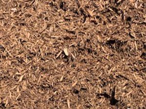 A close up of a pile of wood chips on the ground.