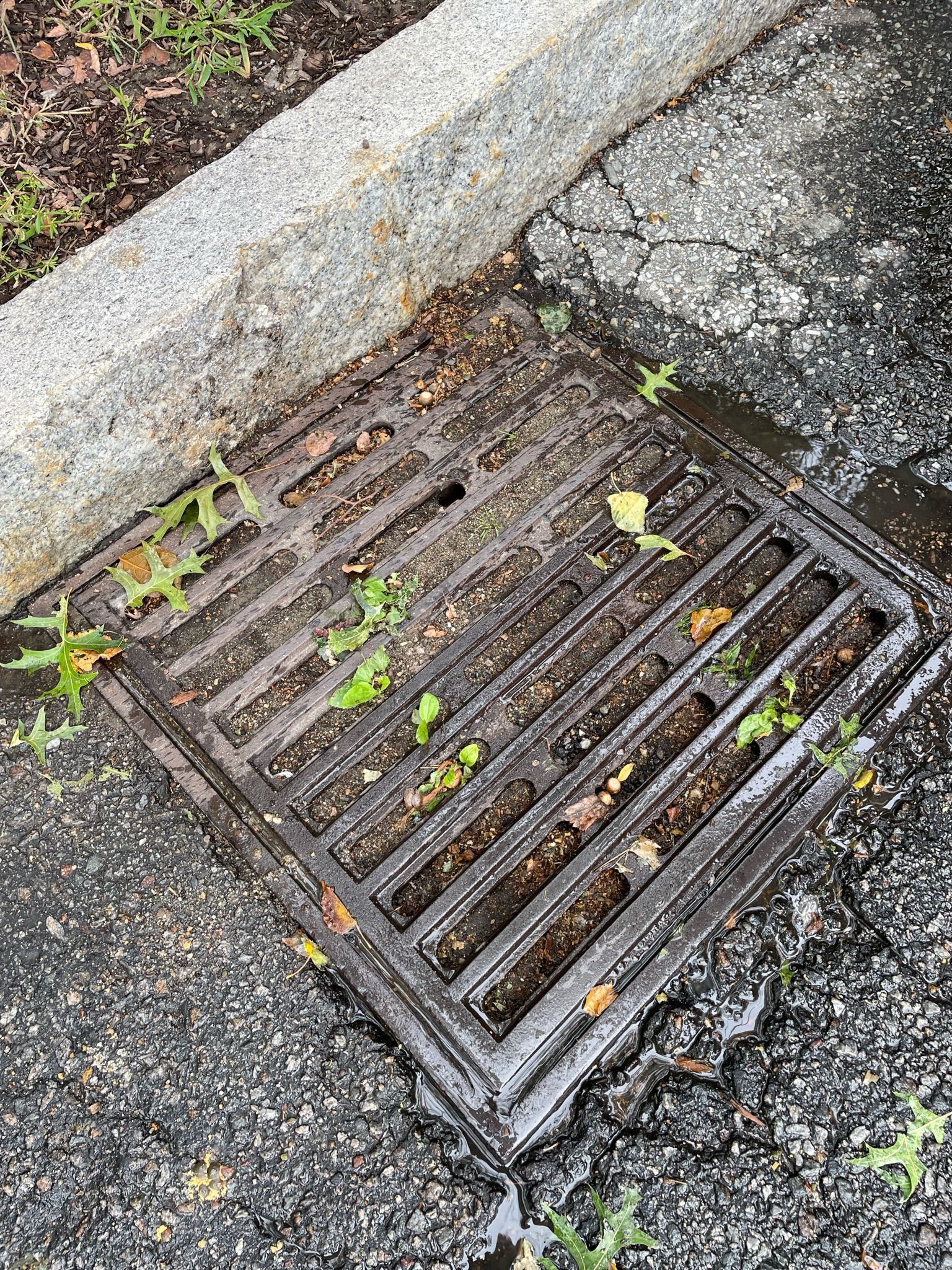 A manhole cover is sitting on the side of the road next to a curb.