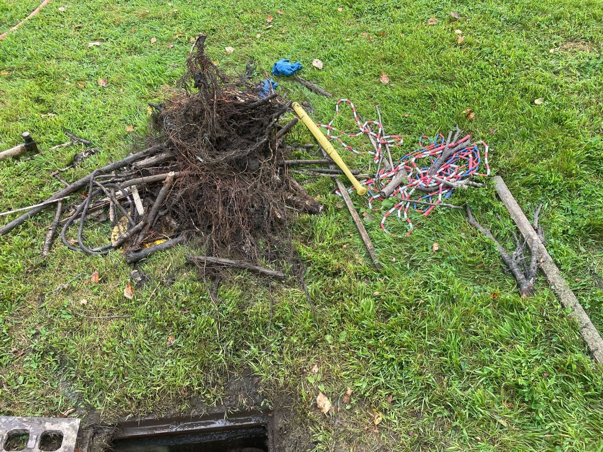 A pile of branches and wires laying on top of a lush green field.