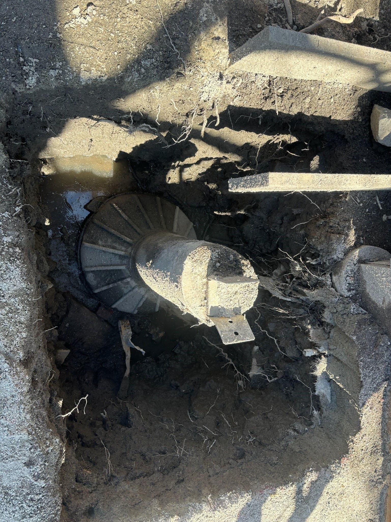 A turtle is laying in the dirt next to a ruler.