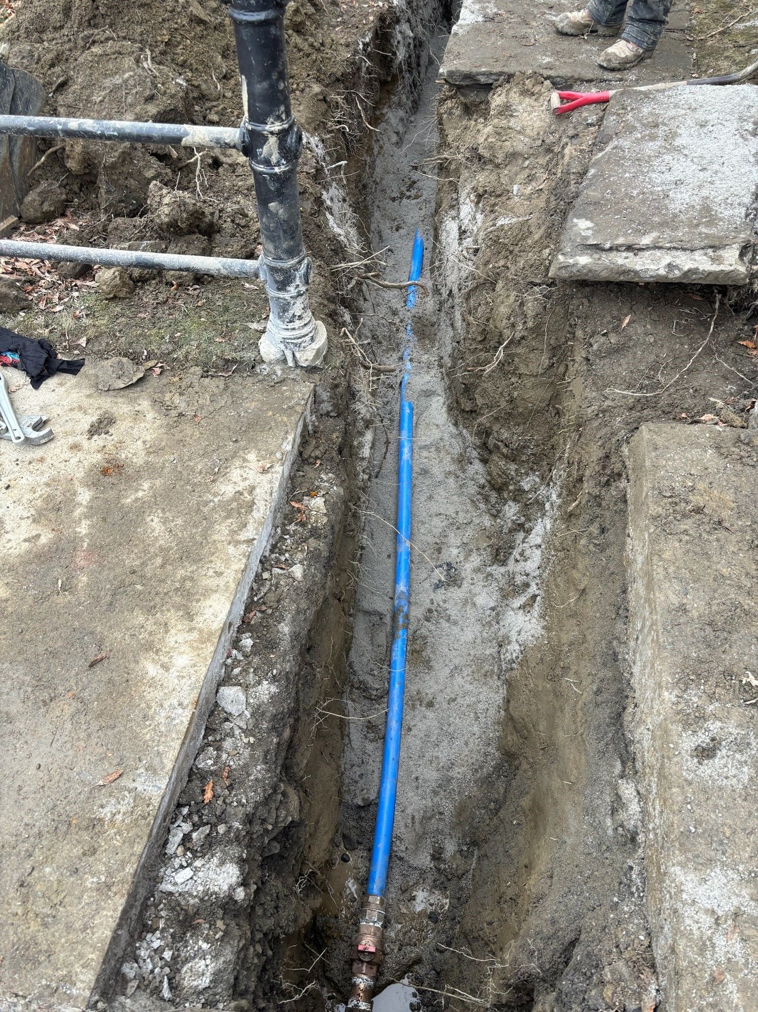 A blue pipe is being installed in the dirt.