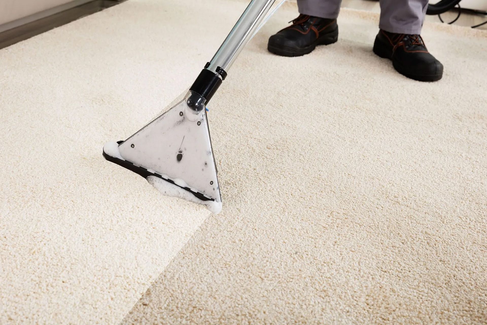 carpet cleaning