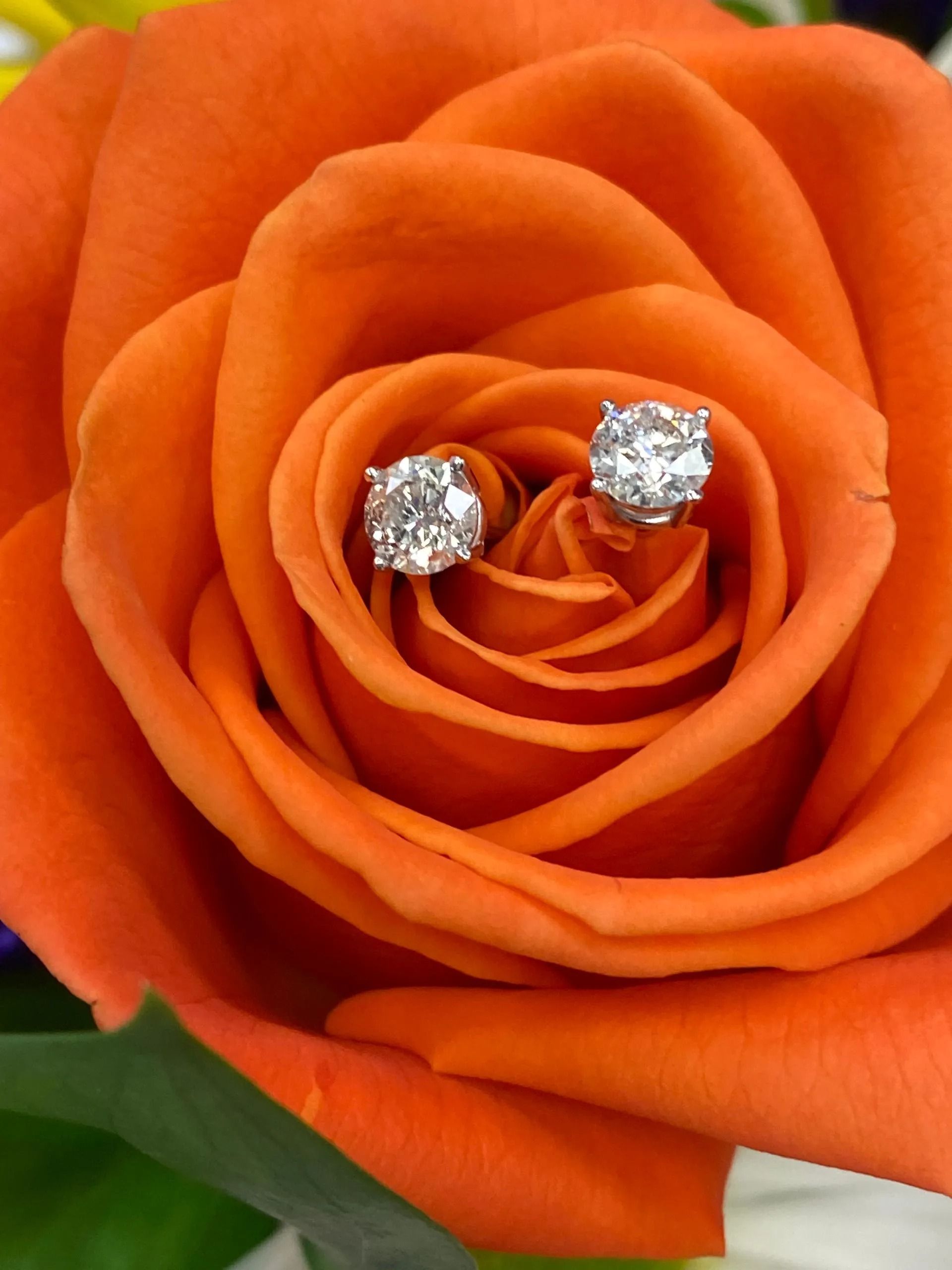 Silver stud earrings on an orange rose bloom