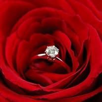 A diamond ring nestled in the center of a deep red rose blossom