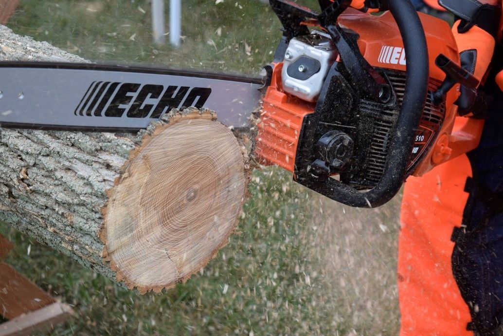 A person is cutting a tree with a chainsaw.