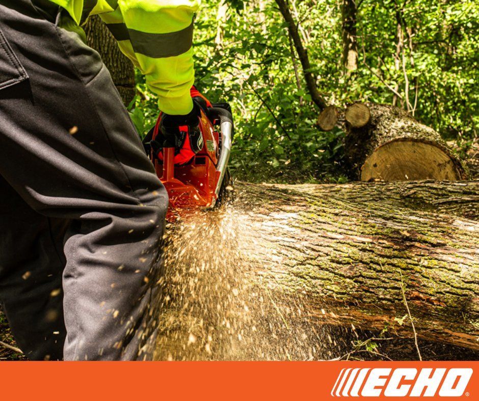 A person is using a chainsaw to cut a tree