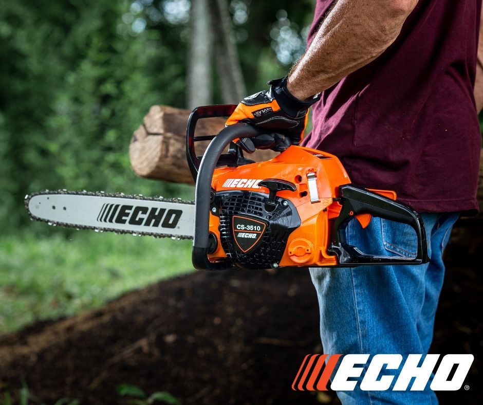 A man is holding a chainsaw and a log in his hand.