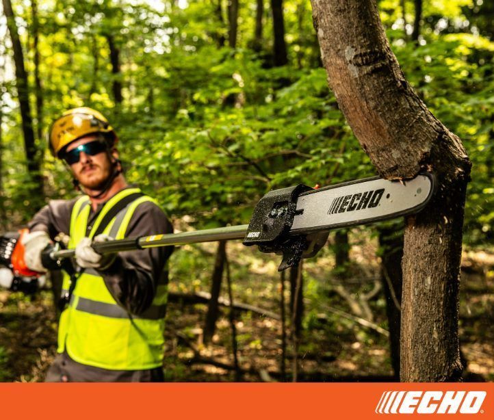 A man is cutting a tree with a chainsaw in the woods.
