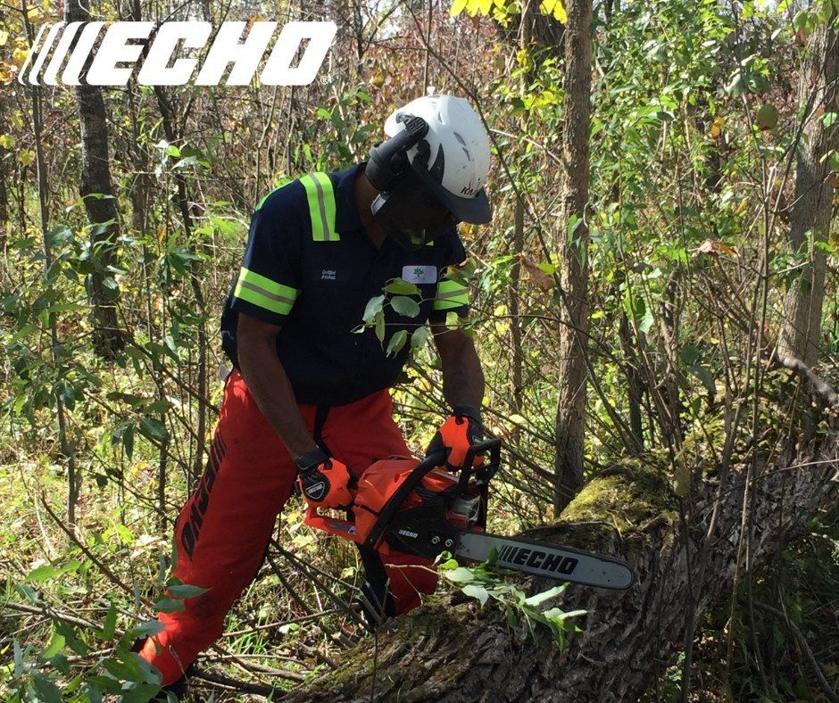 A man is using a echo chainsaw in the woods