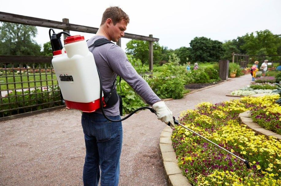 A man is spraying flowers in a garden with a backpack sprayer.