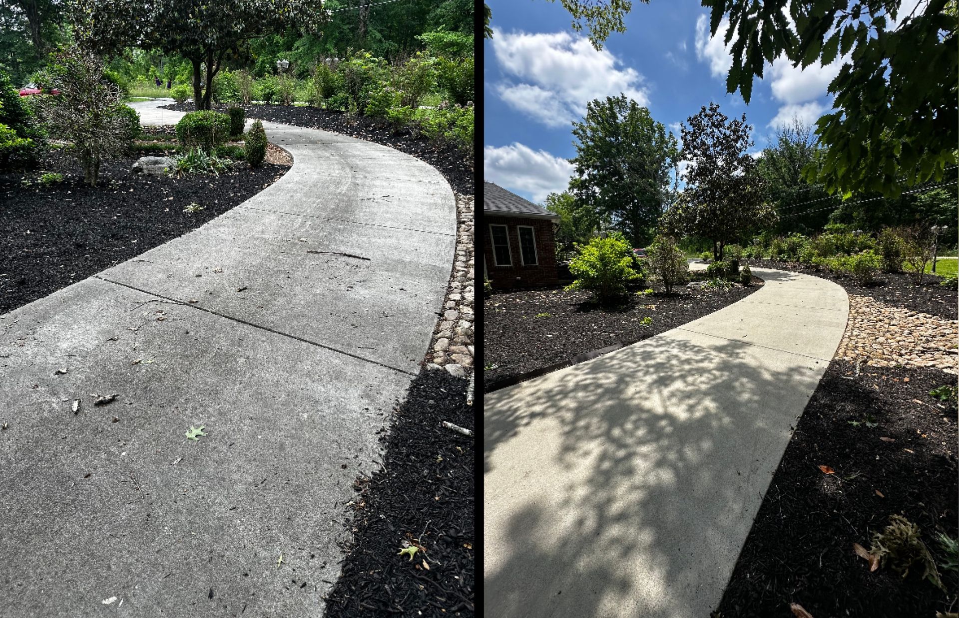 Comparison of a concrete walkway before and after cleaning; shows the walkway curving through a landscaped yard.