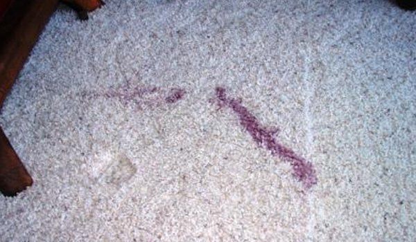 Before Carpet Cleaning