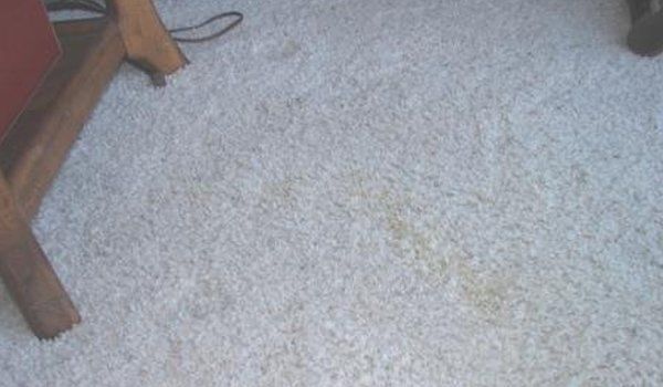 After Carpet Cleaning