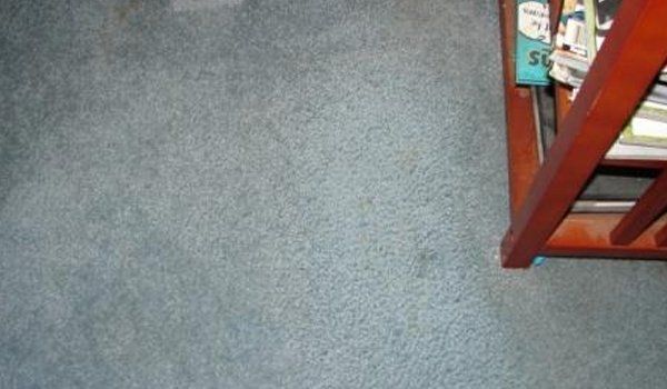 After Carpet Cleaning
