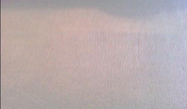 After Carpet Cleaning