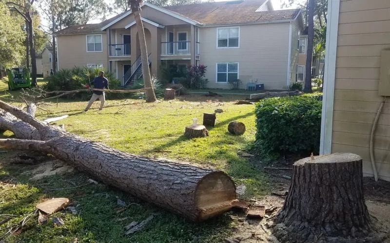 Man cutting a fallen tree in a grassy area near an apartment building.