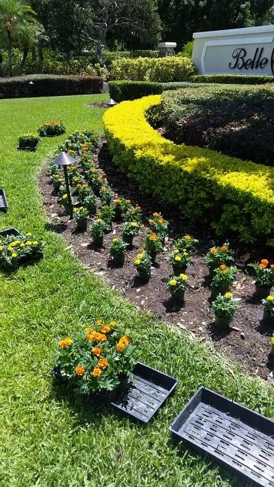 Landscape with curved flowerbeds, newly planted orange flowers, trimmed hedges, and lawn.