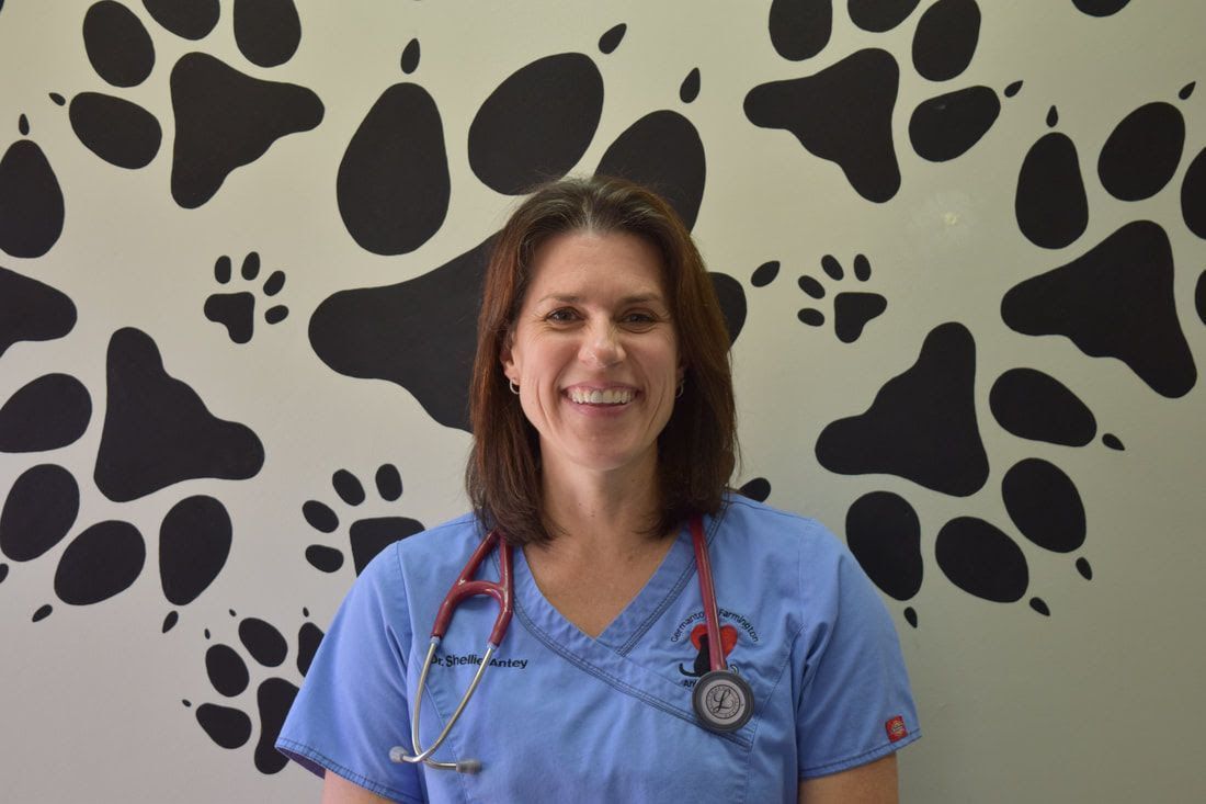 Dr. Shellie Antey