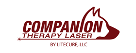Companion Therapy Laser