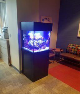 A large aquarium is sitting in a waiting room next to a couch.