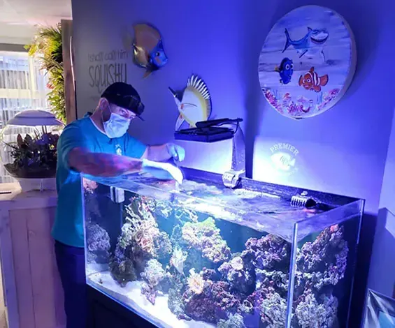 A man wearing a mask is working on an aquarium.